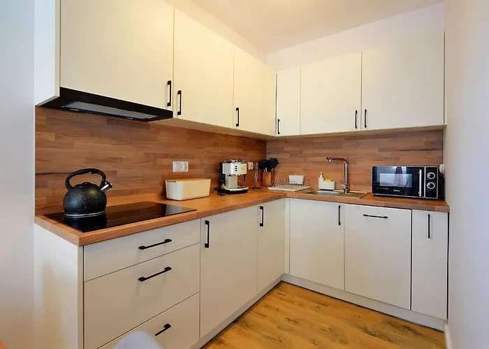 Gustowne Sun Seasons 24 Z Parkingiem W Szklarskiej Porebie By Renters Szklarska Poręba